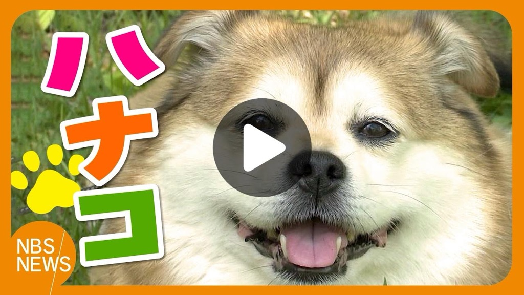 https://youtu.be/F2cLwv9bgU8